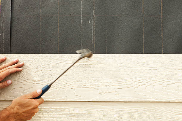 Best Steel Siding Installation  in Forest City, PA